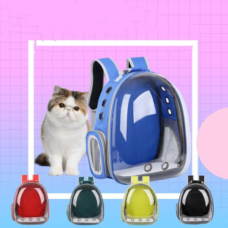 Clear View Pet Carrier Backpack