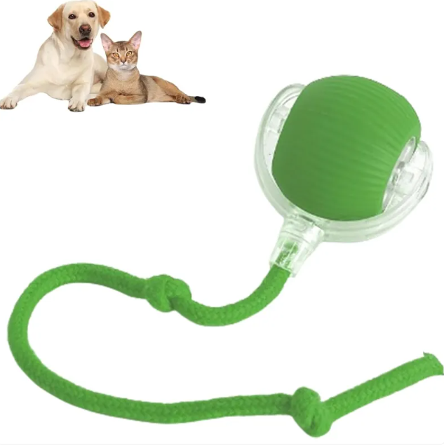 AutoPlay Rolling Pet Toy Ball