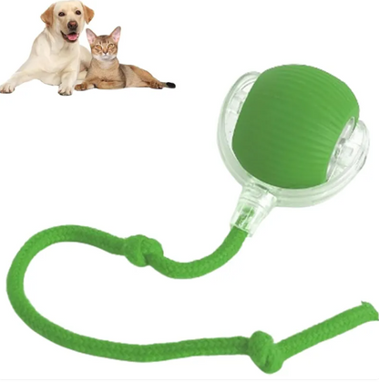 AutoPlay Rolling Pet Toy Ball