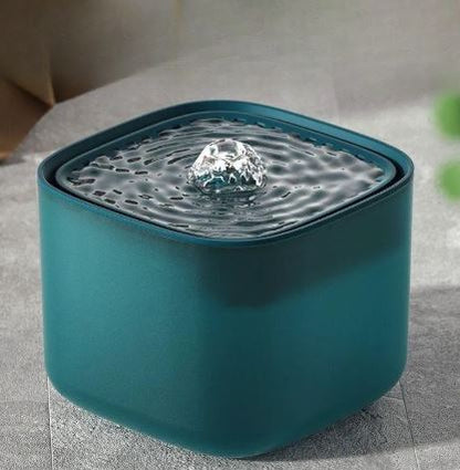 Kitty Hydration Station