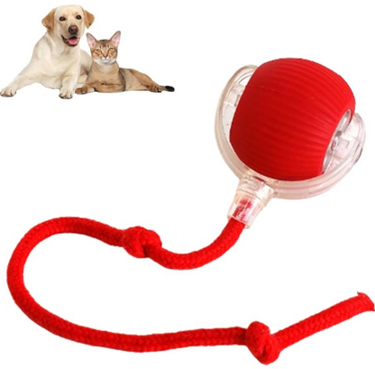 AutoPlay Rolling Pet Toy Ball