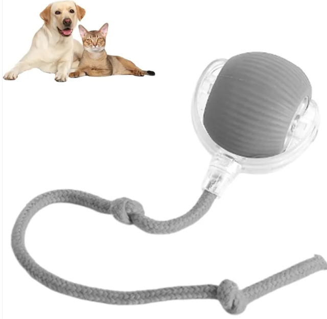 AutoPlay Rolling Pet Toy Ball