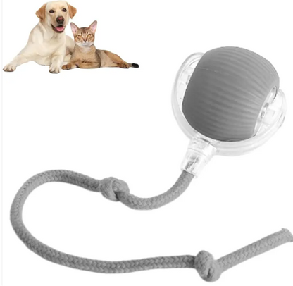 AutoPlay Rolling Pet Toy Ball